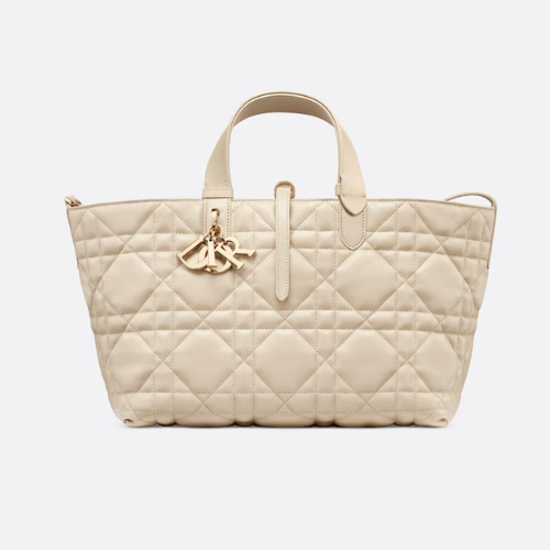 디올 DIOR Toujours 미디엄 백 M2821OSHJ_M49U