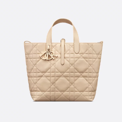 디올 DIOR 미디엄 Dior Toujours 버티컬 백 M2836OSNW_M51U