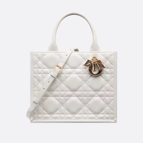 디올 작은 책 토트백 M1325OWHQ_M030