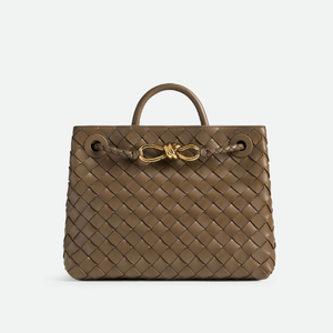 보테가 베네타 BOTTEGA VENETA 스몰 안디아모 766014VCPP12383