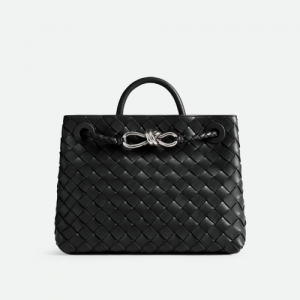 보테가 베네타 BOTTEGA VENETA 스몰 안디아모 766014VCPP11249