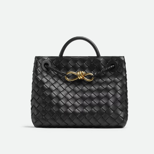 보테가 베네타 BOTTEGA VENETA 스몰 안디아모 766014VCPP11139